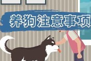 养狗需注意的重要事项（为了狗狗和自己的幸福，请务必关注这些细节）