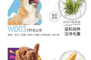 如何选择适合狗狗的沐浴露（选购指南及注意事项）