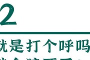 乌龟潜水时间之谜（揭秘乌龟潜水的生理奥秘，探寻乌龟长时间潜水的关键因素）