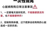 揭秘心脏病的5个狗狗征兆（了解这些症状，保护你的狗狗健康）