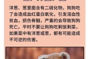 边境牧羊犬不能吃的8种食物（为了宠物的健康，了解哪些食物应避免喂给边境牧羊犬）
