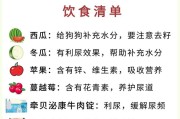 宠物狗的饮食之道（科学合理的狗狗饮食习惯探究）