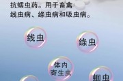 如何正确给狗狗服用打虫药？（掌握适当的给狗狗吃打虫药的时间和方法）