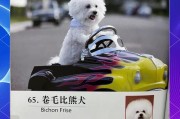 探索大白熊犬的魅力——一款理想的家庭宠物（了解大白熊犬的品种特点及养护要点）