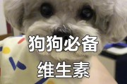 狗狗的营养需求（探索狗狗需要的维生素和如何正确补充）