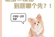 幼犬疫苗接种时间解析（养犬新手必看，幼犬到家需等多久才能进行疫苗接种）