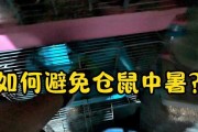 如何防止仓鼠中暑（仓鼠中暑的原因及预防措施）