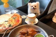 50多天的狗狗适合吃什么？（给你的小狗提供均衡营养的饮食）