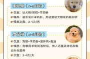带金毛回家的注意事项（养狗人必看，金毛带回家前需知悉的事项）