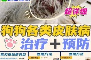 狗狗球菌感染的药物治疗探究（选择适用的药物治疗狗狗球菌感染）