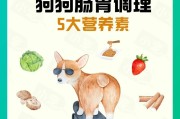 狗狗肠胃不好的表现与处理方法（呕吐与软便）