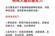 了解犬瘟的主要症状及其预防方法（掌握犬瘟的常见症状，提早发现并采取预防措施）