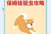 狗狗驱虫后多久不能洗澡？（为了宠物健康，注意正确驱虫后的护理）