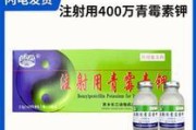 狗狗常用青霉素及其适应症（了解狗狗常用的青霉素药物及其使用情况）