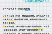 带狗狗出去溜逛的注意事项（狗狗多大适合外出散步？以及注意事项解析）