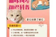 猫咪绝育后激素多久能恢复正常？（探索猫咪绝育后激素恢复的时间和影响因素）
