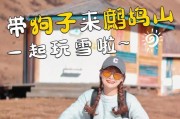 宠物出游指南（准备充分，带着宠物畅享美好时光）