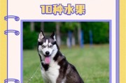 金毛幼犬的饮食禁忌（小金毛不能吃的食物有哪些？）