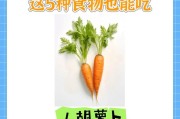狗狗饮食注意（以狗狗饮食注意为话题，了解狗狗吃狗粮以外的6种食材替代方案）