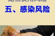 狗狗喂生肉后多久需要驱虫？（探讨狗狗喂生肉后的驱虫时间和方法）