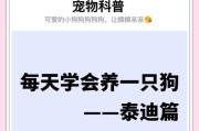 泰迪狗洗澡的最佳时机及注意事项（养泰迪狗需掌握的洗澡时间与技巧）