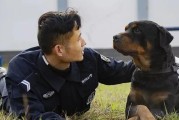 探寻警犬世界中最强大的品种（警犬种类比拼，哪个才是最厉害？）