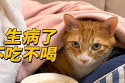 宠物狗吐白沫的原因及应对措施（揭开宠物狗吐白沫背后的秘密，保护我们的忠诚伙伴）