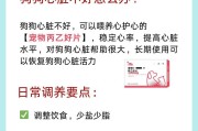 了解狗的呼吸类型，保障它们的健康（探索狗的呼吸类型及其重要性）