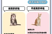 猫绝育后容易发胖的原因（探究猫绝育导致肥胖问题的根源及解决方法）