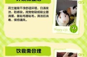 荷兰猪的寿命（荷兰猪的寿命取决于什么？一起了解这些萌宠的生命周期）