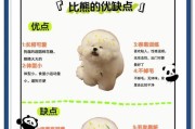 比熊配种后多久生小狗？（了解比熊繁殖周期及生育过程）