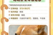 狗狗发烧不一定是生病，关注这些体温值（了解狗狗体温的关键指标和健康状况）