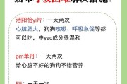 怀孕猫咪为什么会呼吸急促？（探究呼吸急促现象的原因和应对方法）