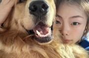 金毛犬的眼睛何时睁开？（揭开金毛犬眼睛开启的神秘时刻）