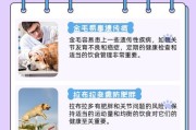 为什么养宠物对人有益？（宠物为人类带来的快乐与好处）