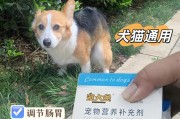 狗狗长期拉肚子吃什么药好？（有效药物缓解狗狗长期拉肚子的症状）