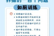 猫砂盆的彻底清理有多久一次？（了解猫砂盆清理周期的重要性）