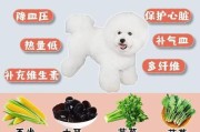 饮食与长寿（探索狗狗长寿的关键饮食因素）