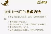 狗狗打完针后多久可以出门？（了解狗狗打完针后的安全期和注意事项）