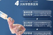 鹦鹉的常喂营养品，必不可少的两种（为你的宠物提供完美的饮食）