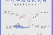 兔子的妊娠期及生产过程详解（兔子怀孕多久才能生产？了解兔子生产的注意事项和步骤）