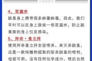 春天来临，如何彻底消除跳蚤？（宠物跳蚤防治攻略，让您的宠物过一个舒适的春天）