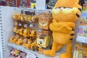 选择加菲猫的4个性格特征（为什么加菲猫备受喜爱）