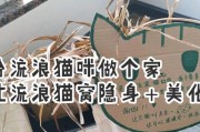 为什么猫会害怕透明胶？（探索猫咪对透明胶的恐惧及原因）
