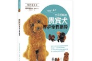 贵宾犬（了解贵宾犬的价格和饲养要点，让你成为贵宾犬专家）