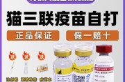 猫咪注射狂犬疫苗（狂犬疫苗的坏处和风险分析）