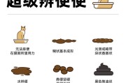 小猫的排便频率及注意事项（探讨小猫排便的时间间隔以及如何保持健康）