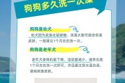 狗狗出生多久后可以洗澡？（了解适合小狗洗澡的最佳时间和方法）
