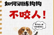 幼犬与成犬的区别——从可爱到成熟（探索幼犬和成犬生活中的差异，了解它们成长的特点）