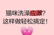 在家轻松给猫咪洗澡的技巧（掌握三招让你成为猫咪洗澡达人）